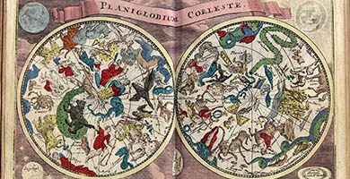 5593  Atlasportatilis4