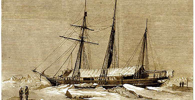 4992 50 The Yatch Fox