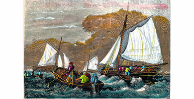 5013 14a Cod-fishing1858