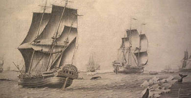 5058  W L A N L_-_ Quistnix!_-_visserijmuseum_-_ Detail_ Walvisvangst_-_ Adriaan_(van_der)_ Salm_(1700-1720)