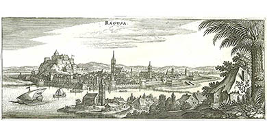 3822  Ragusasvetlija  M. Merian cca1670
