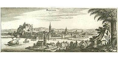 3823  Ragusa  M. Merian cca1670