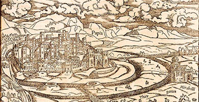 3961  Pavia S. Munster1550