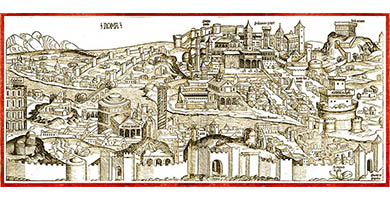 3971  G I T017romaschedel1493