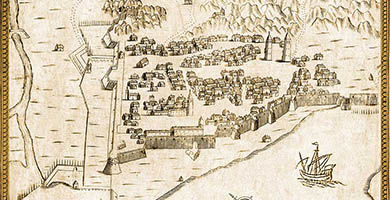 2991  G C G-012cattaro