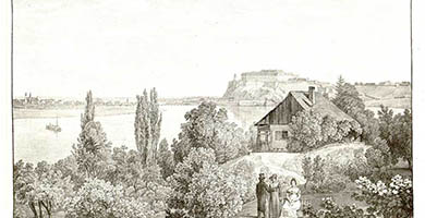 4445 5 Peterwardeinund Neusatz